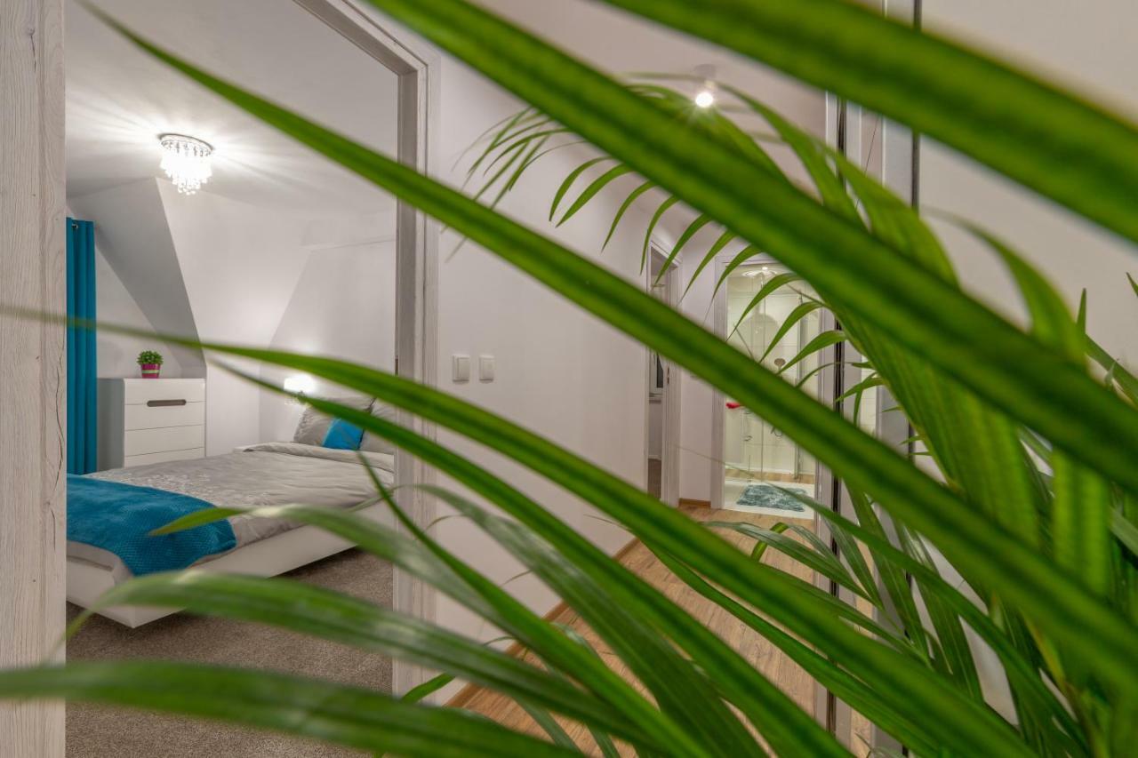 Apartament Podwika Закопане Экстерьер фото